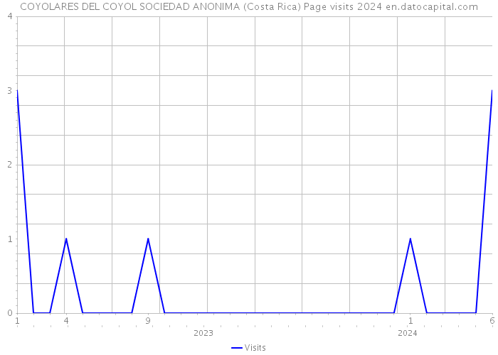 COYOLARES DEL COYOL SOCIEDAD ANONIMA (Costa Rica) Page visits 2024 