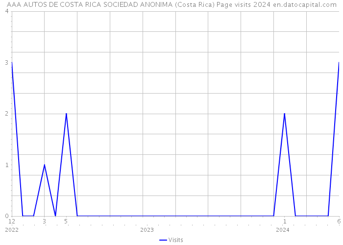 AAA AUTOS DE COSTA RICA SOCIEDAD ANONIMA (Costa Rica) Page visits 2024 