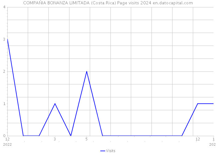 COMPAŃIA BONANZA LIMITADA (Costa Rica) Page visits 2024 