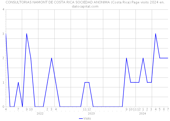 CONSULTORIAS NAMONT DE COSTA RICA SOCIEDAD ANONIMA (Costa Rica) Page visits 2024 