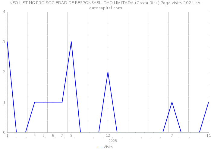 NEO LIFTING PRO SOCIEDAD DE RESPONSABILIDAD LIMITADA (Costa Rica) Page visits 2024 