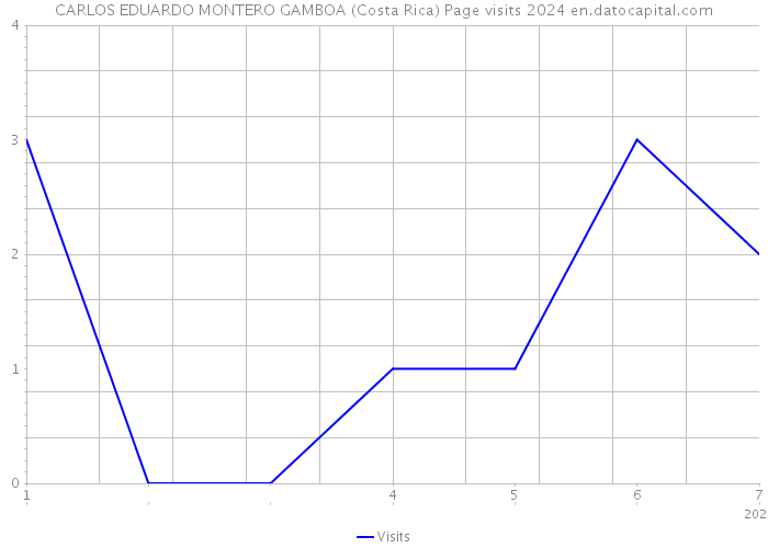 CARLOS EDUARDO MONTERO GAMBOA (Costa Rica) Page visits 2024 