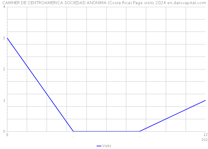 CAMHER DE CENTROAMERICA SOCIEDAD ANONIMA (Costa Rica) Page visits 2024 