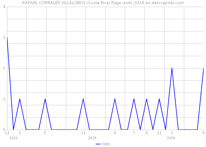RAFAEL CORRALES VILLALOBOS (Costa Rica) Page visits 2024 