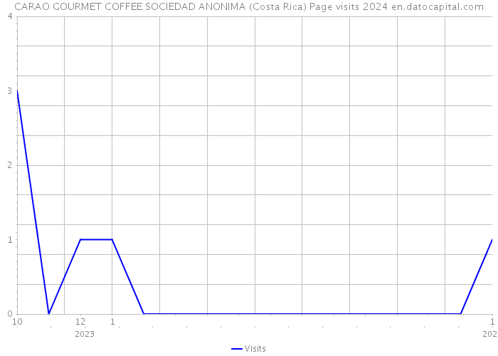 CARAO GOURMET COFFEE SOCIEDAD ANONIMA (Costa Rica) Page visits 2024 