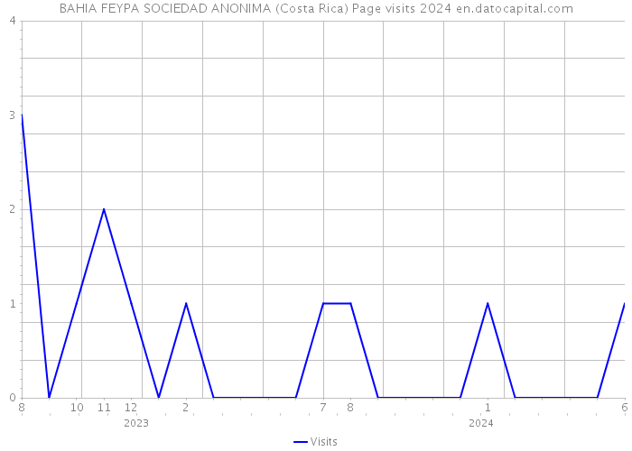 BAHIA FEYPA SOCIEDAD ANONIMA (Costa Rica) Page visits 2024 
