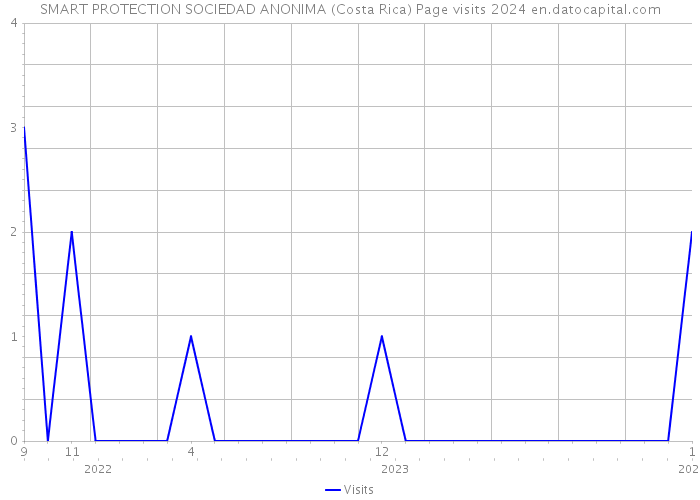 SMART PROTECTION SOCIEDAD ANONIMA (Costa Rica) Page visits 2024 