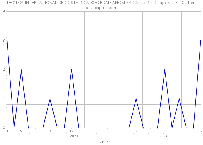 TECNICA INTERNATIONAL DE COSTA RICA SOCIEDAD ANONIMA (Costa Rica) Page visits 2024 