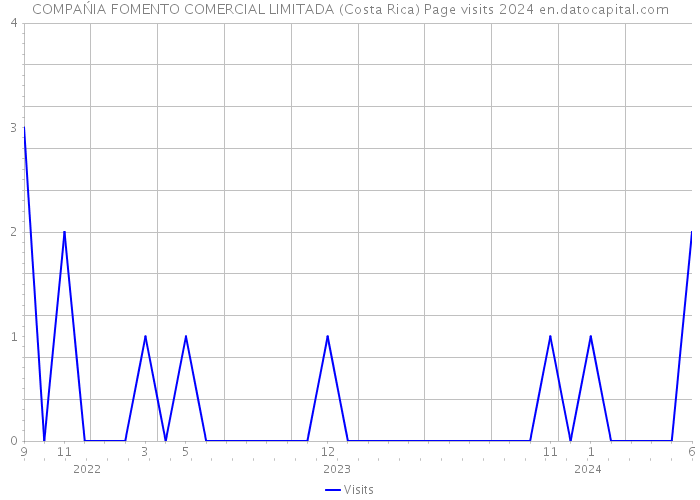 COMPAŃIA FOMENTO COMERCIAL LIMITADA (Costa Rica) Page visits 2024 