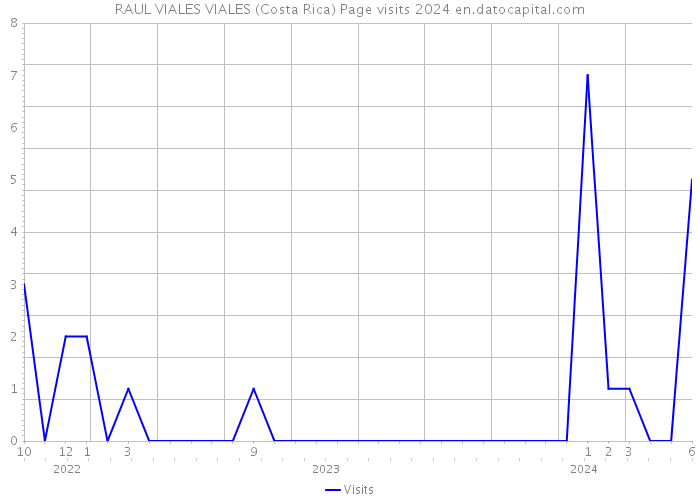 RAUL VIALES VIALES (Costa Rica) Page visits 2024 