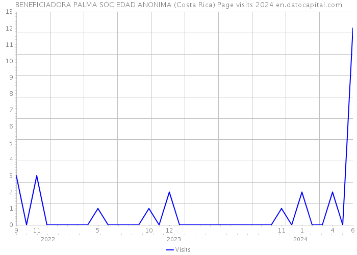 BENEFICIADORA PALMA SOCIEDAD ANONIMA (Costa Rica) Page visits 2024 