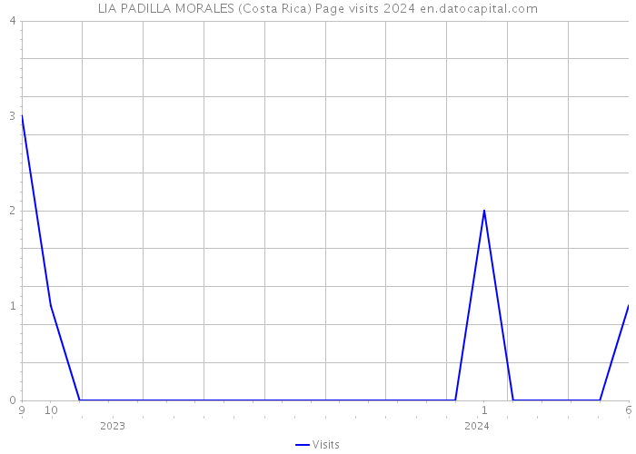 LIA PADILLA MORALES (Costa Rica) Page visits 2024 
