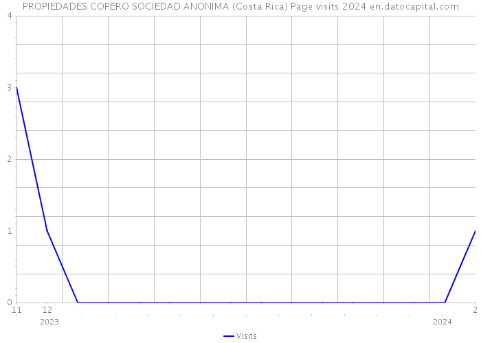 PROPIEDADES COPERO SOCIEDAD ANONIMA (Costa Rica) Page visits 2024 