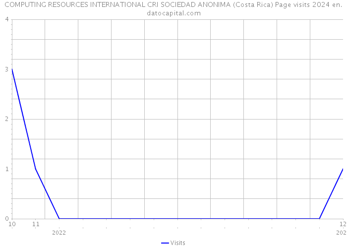 COMPUTING RESOURCES INTERNATIONAL CRI SOCIEDAD ANONIMA (Costa Rica) Page visits 2024 
