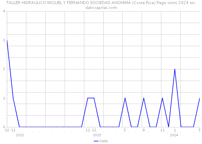 TALLER HIDRAULICO MIGUEL Y FERNANDO SOCIEDAD ANONIMA (Costa Rica) Page visits 2024 