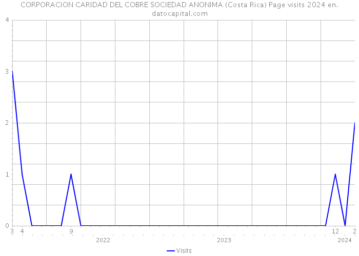 CORPORACION CARIDAD DEL COBRE SOCIEDAD ANONIMA (Costa Rica) Page visits 2024 