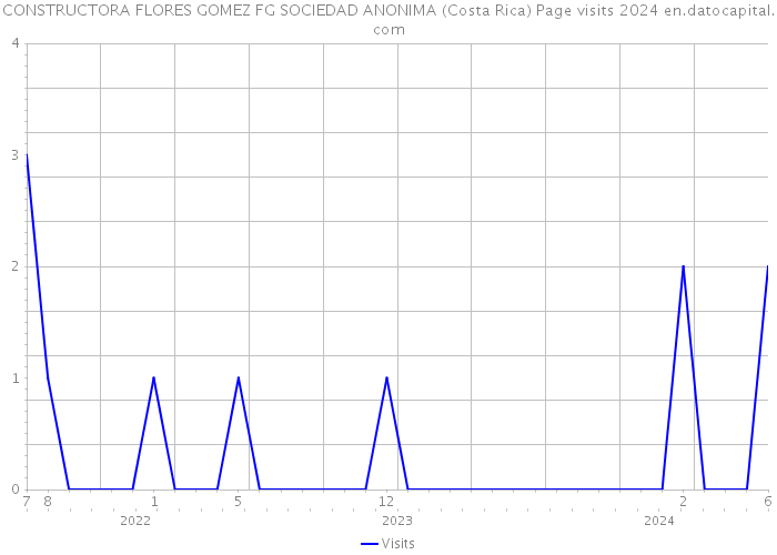 CONSTRUCTORA FLORES GOMEZ FG SOCIEDAD ANONIMA (Costa Rica) Page visits 2024 