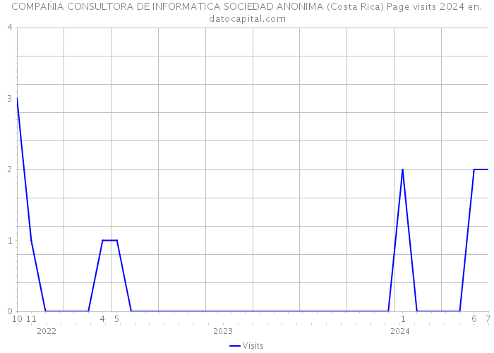 COMPAŃIA CONSULTORA DE INFORMATICA SOCIEDAD ANONIMA (Costa Rica) Page visits 2024 