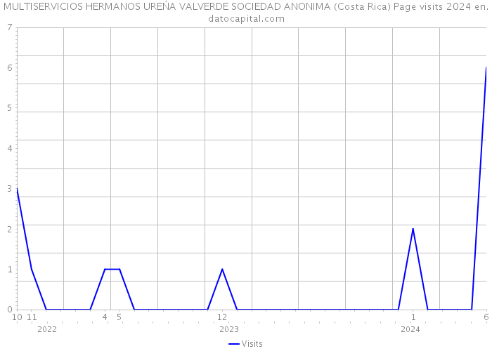 MULTISERVICIOS HERMANOS UREŃA VALVERDE SOCIEDAD ANONIMA (Costa Rica) Page visits 2024 