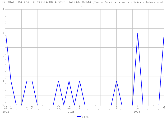 GLOBAL TRADING DE COSTA RICA SOCIEDAD ANONIMA (Costa Rica) Page visits 2024 