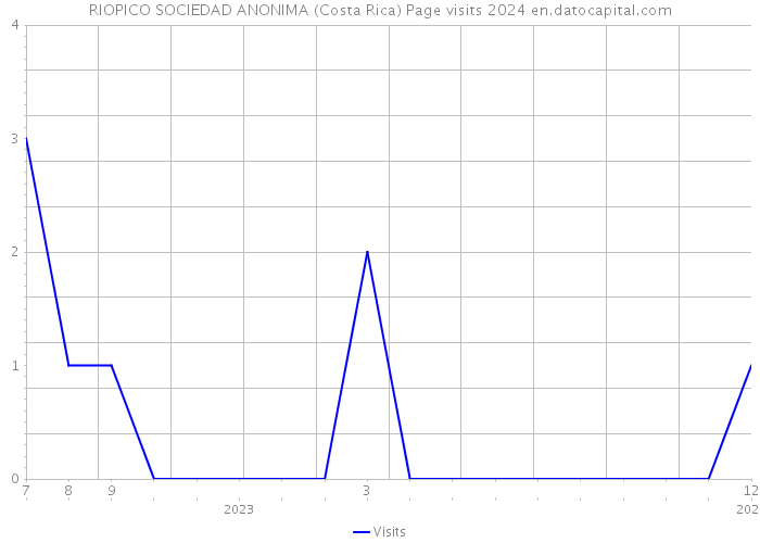 RIOPICO SOCIEDAD ANONIMA (Costa Rica) Page visits 2024 