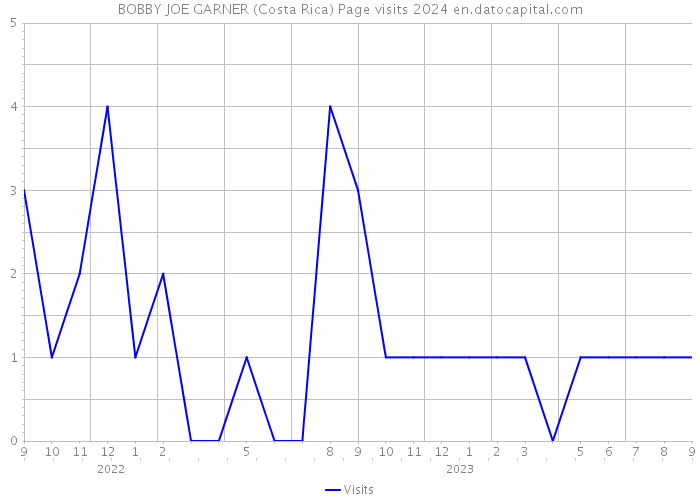 BOBBY JOE GARNER (Costa Rica) Page visits 2024 