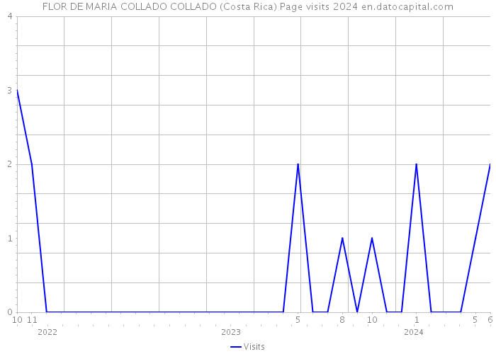 FLOR DE MARIA COLLADO COLLADO (Costa Rica) Page visits 2024 