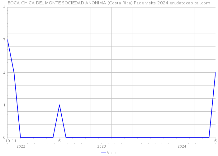 BOCA CHICA DEL MONTE SOCIEDAD ANONIMA (Costa Rica) Page visits 2024 