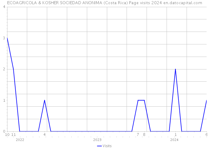 ECOAGRICOLA & KOSHER SOCIEDAD ANONIMA (Costa Rica) Page visits 2024 