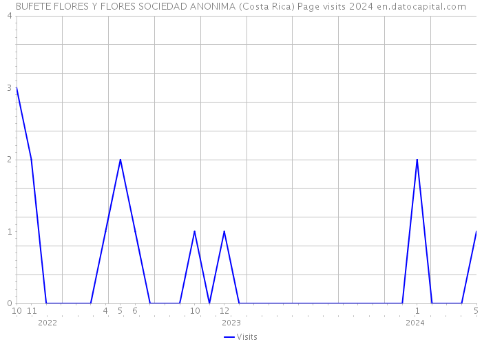 BUFETE FLORES Y FLORES SOCIEDAD ANONIMA (Costa Rica) Page visits 2024 