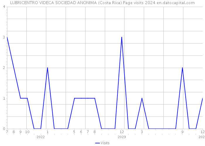 LUBRICENTRO VIDECA SOCIEDAD ANONIMA (Costa Rica) Page visits 2024 