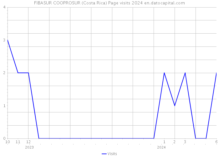 FIBASUR COOPROSUR (Costa Rica) Page visits 2024 