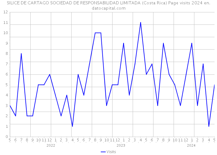 SILICE DE CARTAGO SOCIEDAD DE RESPONSABILIDAD LIMITADA (Costa Rica) Page visits 2024 