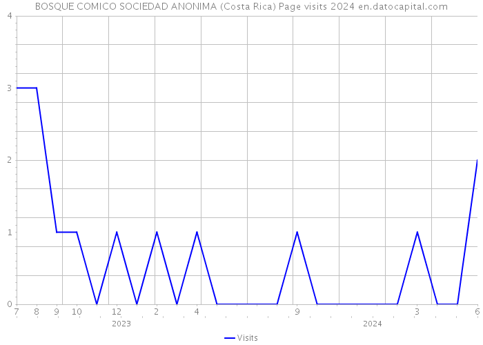 BOSQUE COMICO SOCIEDAD ANONIMA (Costa Rica) Page visits 2024 