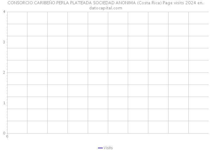 CONSORCIO CARIBEŃO PERLA PLATEADA SOCIEDAD ANONIMA (Costa Rica) Page visits 2024 