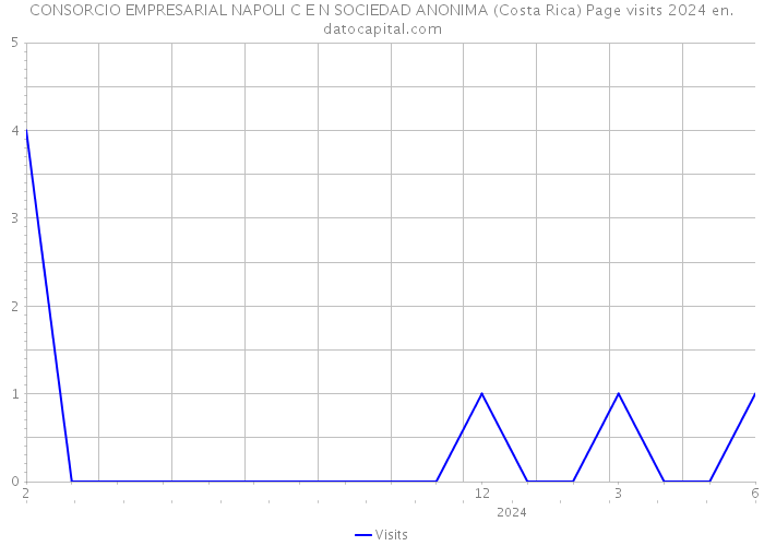 CONSORCIO EMPRESARIAL NAPOLI C E N SOCIEDAD ANONIMA (Costa Rica) Page visits 2024 