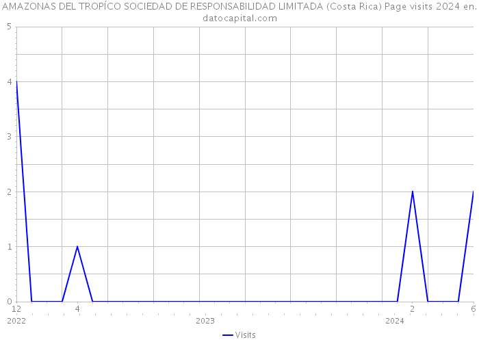 AMAZONAS DEL TROPÍCO SOCIEDAD DE RESPONSABILIDAD LIMITADA (Costa Rica) Page visits 2024 