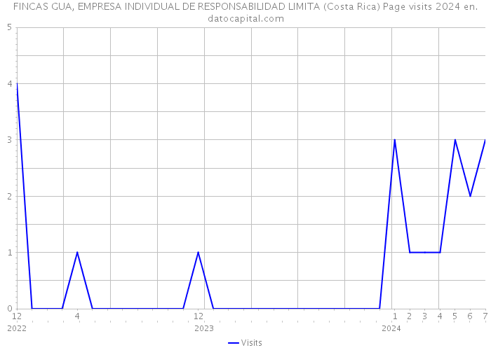 FINCAS GUA, EMPRESA INDIVIDUAL DE RESPONSABILIDAD LIMITA (Costa Rica) Page visits 2024 