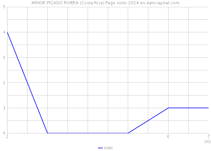 MINOR PICADO RIVERA (Costa Rica) Page visits 2024 