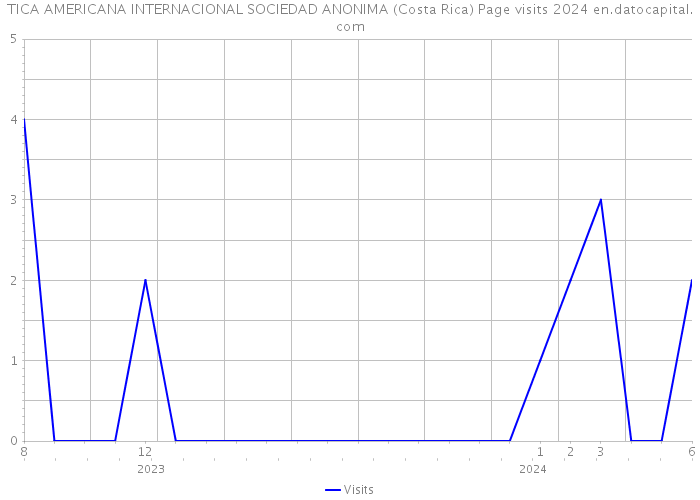 TICA AMERICANA INTERNACIONAL SOCIEDAD ANONIMA (Costa Rica) Page visits 2024 