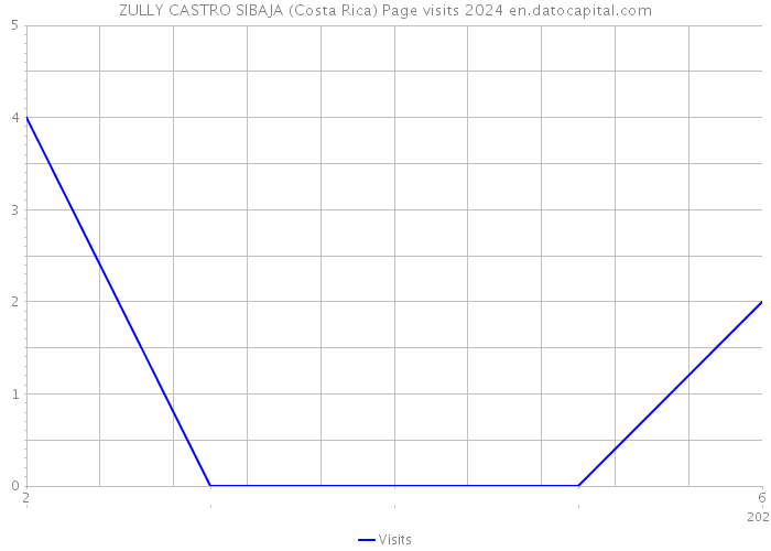 ZULLY CASTRO SIBAJA (Costa Rica) Page visits 2024 