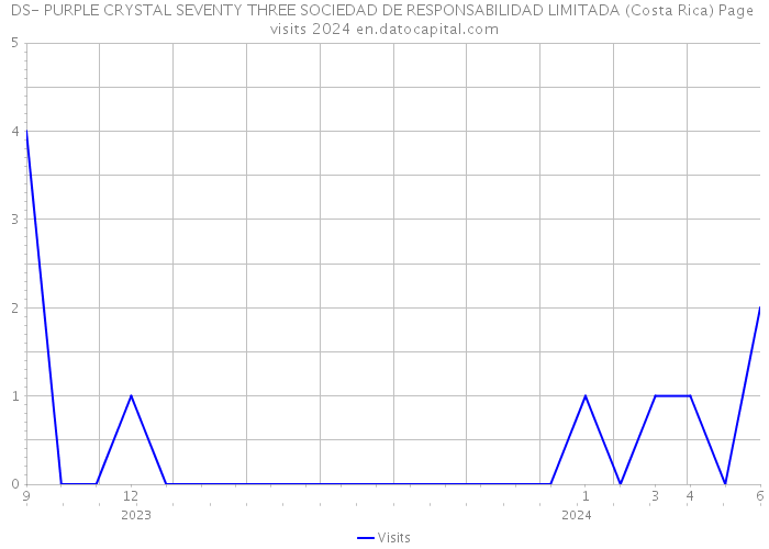 DS- PURPLE CRYSTAL SEVENTY THREE SOCIEDAD DE RESPONSABILIDAD LIMITADA (Costa Rica) Page visits 2024 