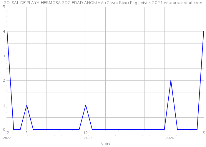 SOLSAL DE PLAYA HERMOSA SOCIEDAD ANONIMA (Costa Rica) Page visits 2024 