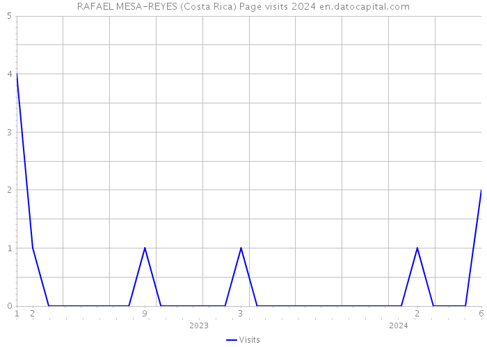RAFAEL MESA-REYES (Costa Rica) Page visits 2024 