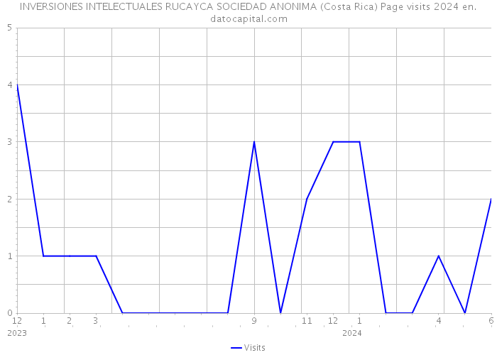 INVERSIONES INTELECTUALES RUCAYCA SOCIEDAD ANONIMA (Costa Rica) Page visits 2024 