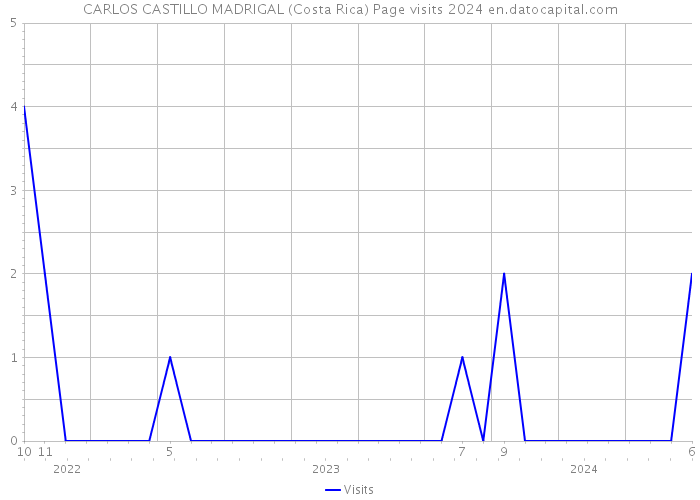 CARLOS CASTILLO MADRIGAL (Costa Rica) Page visits 2024 