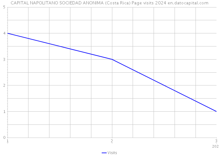 CAPITAL NAPOLITANO SOCIEDAD ANONIMA (Costa Rica) Page visits 2024 