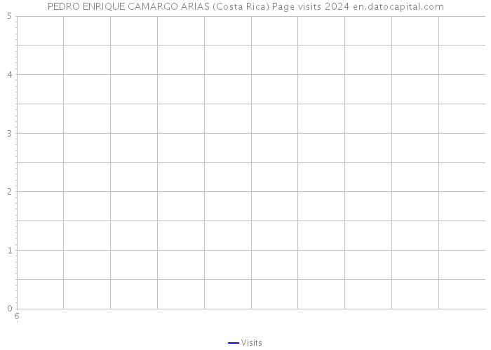 PEDRO ENRIQUE CAMARGO ARIAS (Costa Rica) Page visits 2024 