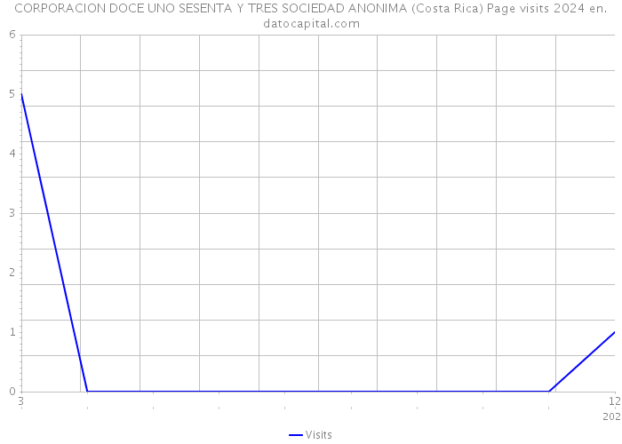 CORPORACION DOCE UNO SESENTA Y TRES SOCIEDAD ANONIMA (Costa Rica) Page visits 2024 