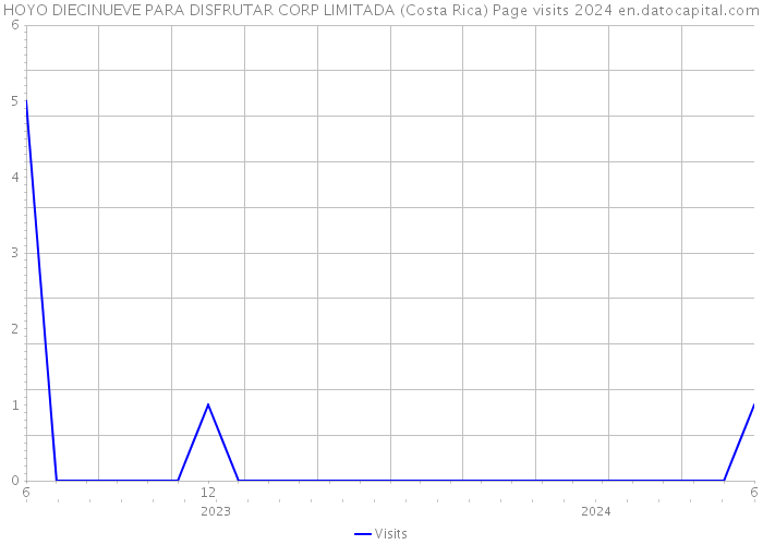 HOYO DIECINUEVE PARA DISFRUTAR CORP LIMITADA (Costa Rica) Page visits 2024 